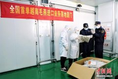 中国首次从越南进口毛燕